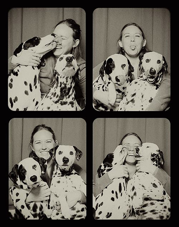 #NAME A Woman Put Dogs In A Photo Booth. What Happened Next Is The Cutest Thing Ever!