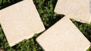 Concrete Made From Bacteria and Urine: Would You Live in a House Made of It? #NAME Concrete Made From Bacteria and Urine: Would You Live in a House Made of It?