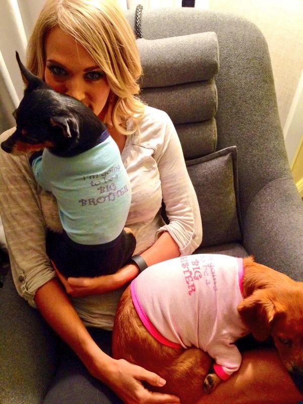 Carrie Underwood Dogs Make Big Announcement on Labor Day! Check Out What They Have to Say #NAME Carrie Underwood Dogs Make Big Announcement on Labor Day! Check Out What They Have to Say