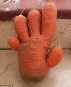 Odd shaped Fruit Mimics Nicki Minajs Behind; 8 Others Try To Make Their Own Impression #NAME Odd shaped Fruit Mimics Nicki Minajs Behind; 8 Others Try To Make Their Own Impression