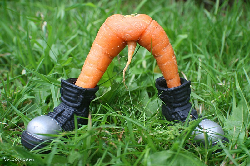 Odd shaped Fruit Mimics Nicki Minajs Behind; 8 Others Try To Make Their Own Impression #NAME Odd shaped Fruit Mimics Nicki Minajs Behind; 8 Others Try To Make Their Own Impression