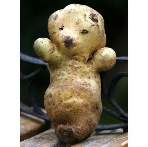 Odd shaped Fruit Mimics Nicki Minajs Behind; 8 Others Try To Make Their Own Impression #NAME Odd shaped Fruit Mimics Nicki Minajs Behind; 8 Others Try To Make Their Own Impression