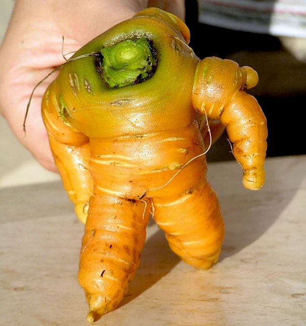 Odd shaped Fruit Mimics Nicki Minajs Behind; 8 Others Try To Make Their Own Impression #NAME Odd shaped Fruit Mimics Nicki Minajs Behind; 8 Others Try To Make Their Own Impression