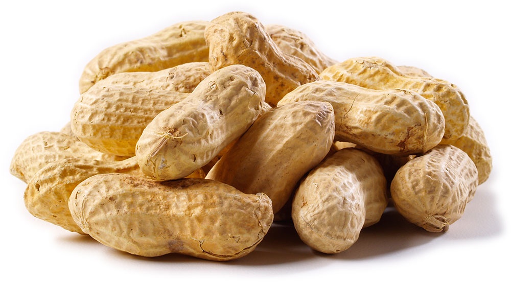 #NAME 10 Unsuspecting Foods You Never Would Have Thought Were Deadly!