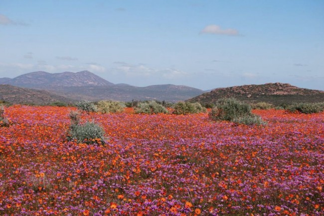 #NAME 15 Most Incredibly Colorful Natural Landscapes on Earth That You Have Never Seen Before