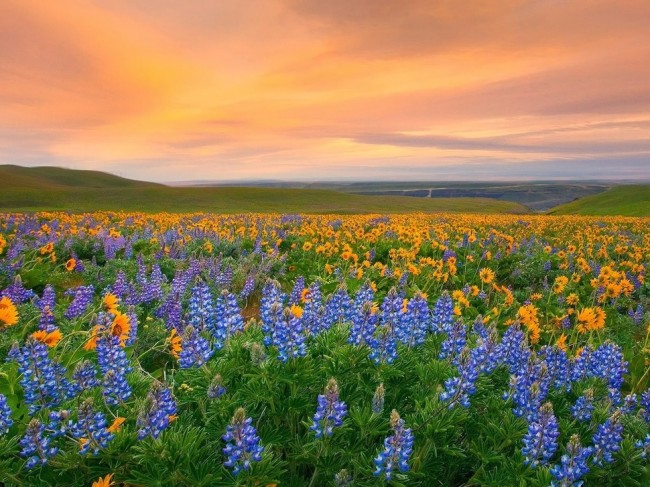 #NAME 15 Most Incredibly Colorful Natural Landscapes on Earth That You Have Never Seen Before