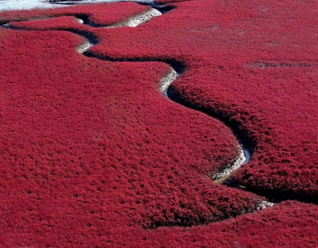 #NAME 15 Most Incredibly Colorful Natural Landscapes on Earth That You Have Never Seen Before