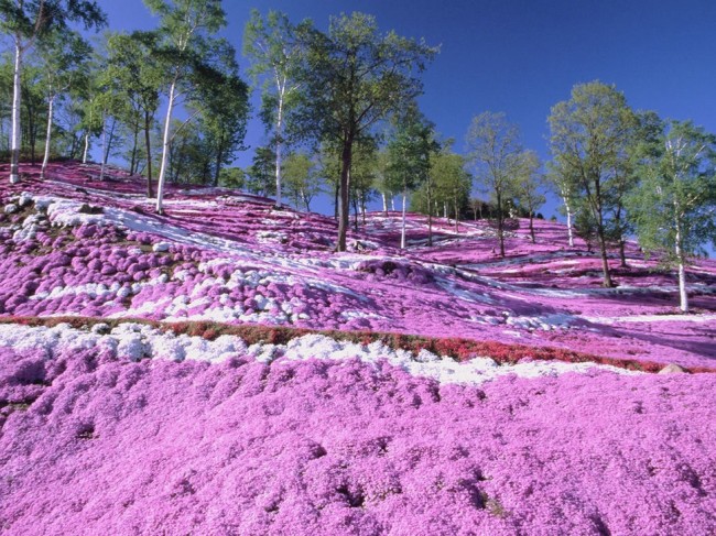 #NAME 15 Most Incredibly Colorful Natural Landscapes on Earth That You Have Never Seen Before