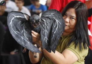 #NAME 10 Scariest Halloween Costumes For Your Pets..#10 will haunt you in your dreams!