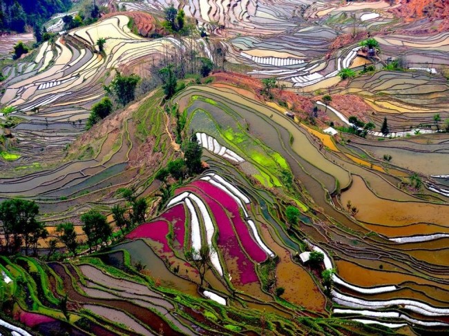 #NAME 15 Most Incredibly Colorful Natural Landscapes on Earth That You Have Never Seen Before