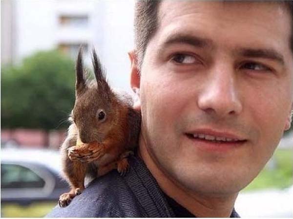 #NAME A Dying Squirrel Gets Help From a Kind Warrant Officer