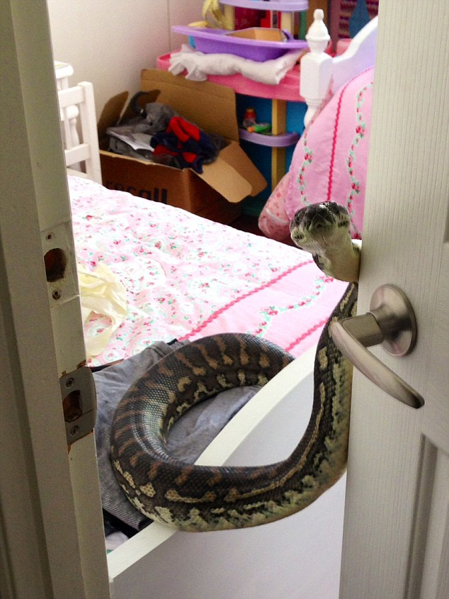 #NAME This Snake Surprise Is The Opposite Of What Anyone Would Want. Oh, My. NOPE.