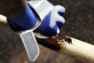 #NAME What is Pine Tar & What is it used for (in addition to Baseball)?