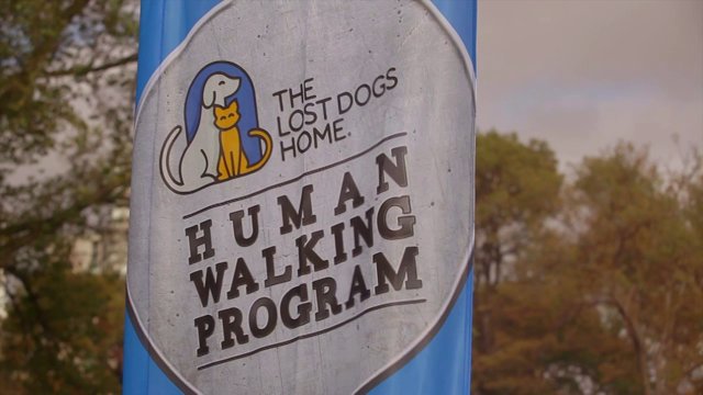 Dogs And Humans Could Be Best Pals. See How?