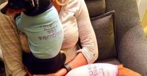 Carrie Underwood Dogs Make Big Announcement on Labor Day! Check Out What They Have to Say