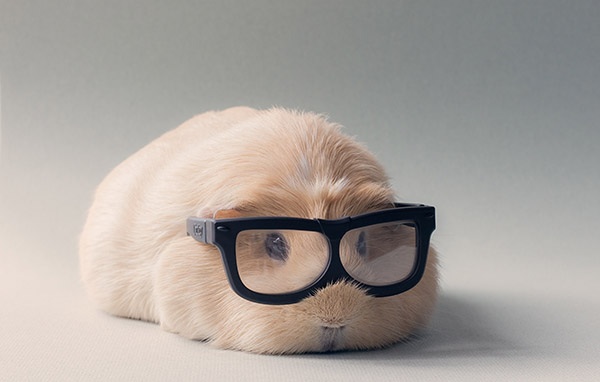 14 Cutest Animal Photos That Will Brighten Your Day..#9 is beyond cute!
