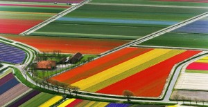 The Most Incredibly Colored Natural Landscapes