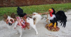 Horrifying Halloween Pet Costumes