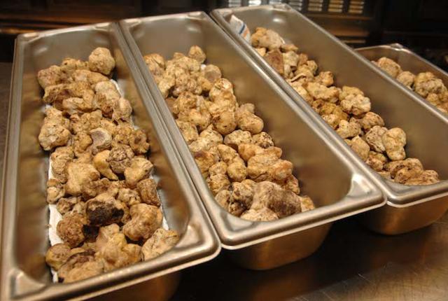 What’s So Special About Truffles?