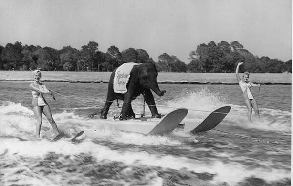45 Rare Photos That Will Destroy Everything You Knew about The Past