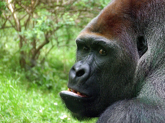 Knowing These 20 Peculiar Things Will Make You Go Crazy