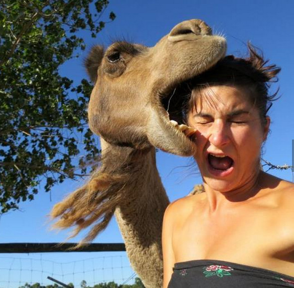 20 People That Surprisingly Survived After Taking Death Defying Selfies