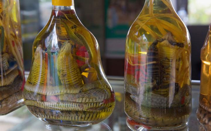 20 Odd Foods from Around the World that you should Try