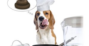 Why do dogs eat poop