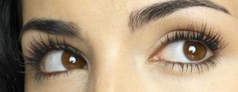 Why do we have eyebrows and eyelashes
