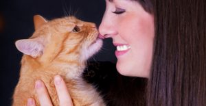 why does my cat lick my hair