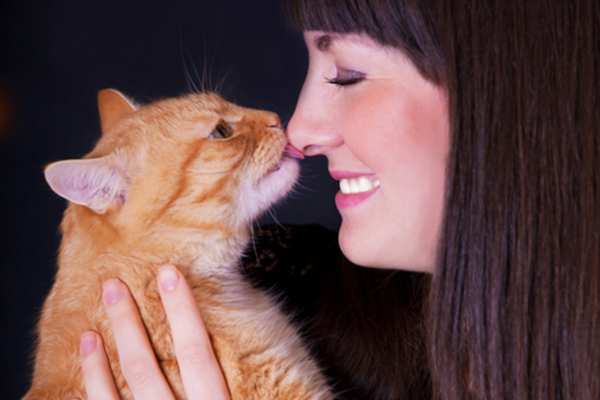 #NAME Why does my cat lick my hair?