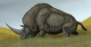 Did Unicors ever exist?