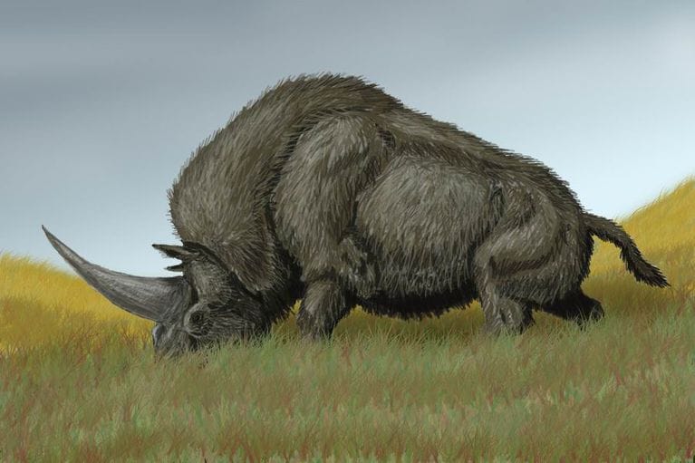Are Unicorns Real? Did they ever exist?