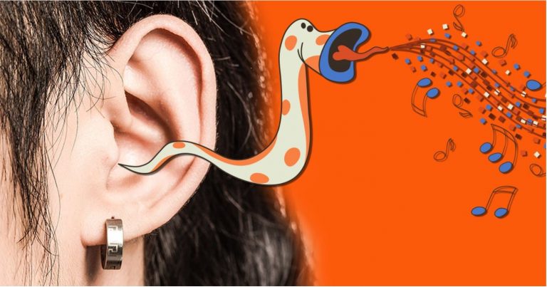 Why do songs get stuck in your head?