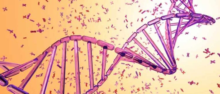 How long does DNA last?
