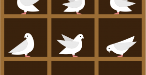 What is a pigeonhole