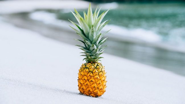 Why is a pineapple called a pineapple 650x365 Why is a pineapple called a pineapple?