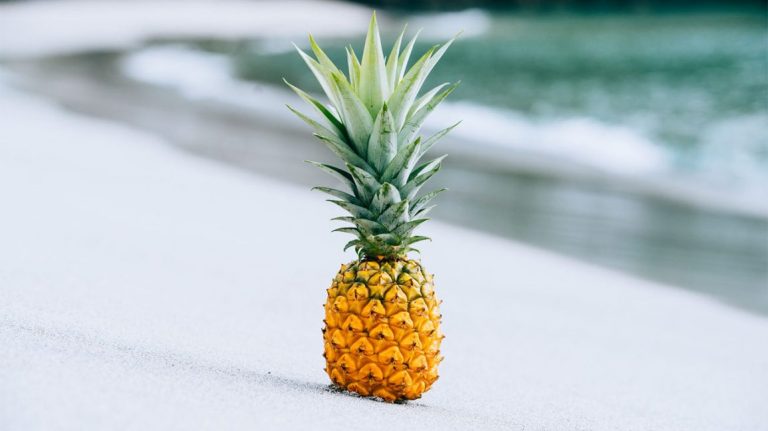 Why is a pineapple called a pineapple?