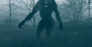 Are werewolves real