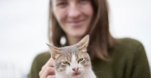 Why do cats like earwax