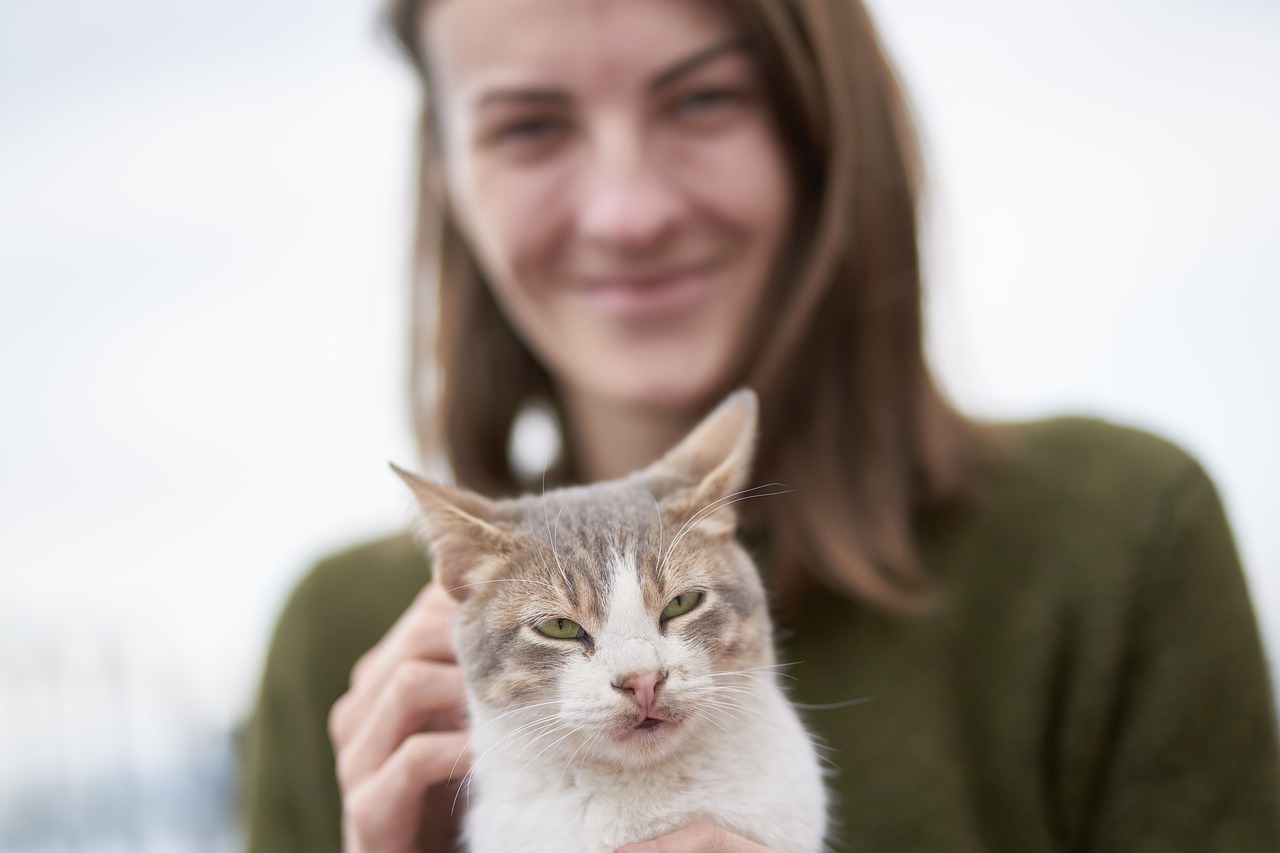 Why do cats like earwax? Reason Explained - LogicGoat