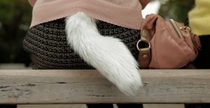Humans lost tails