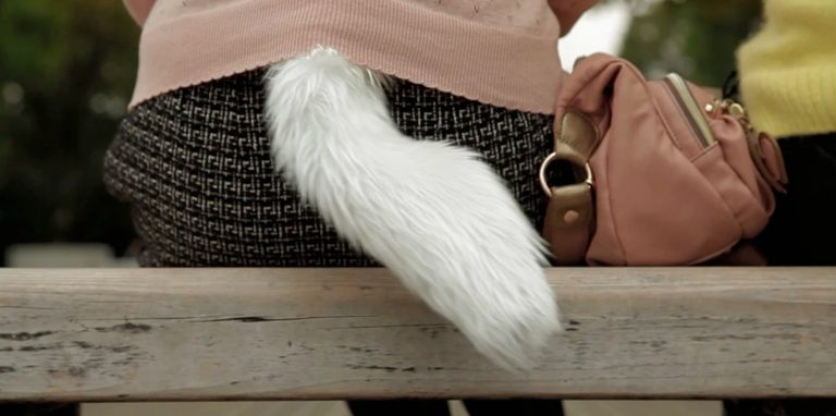 How & Why Humans Lost Their Tails